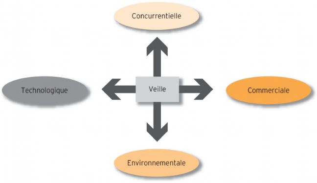 Les Quatre Types De Veille